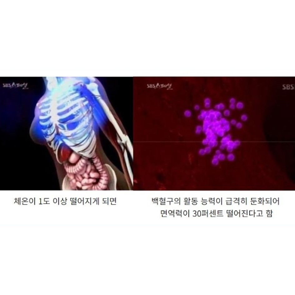 건강 관련 짤털이