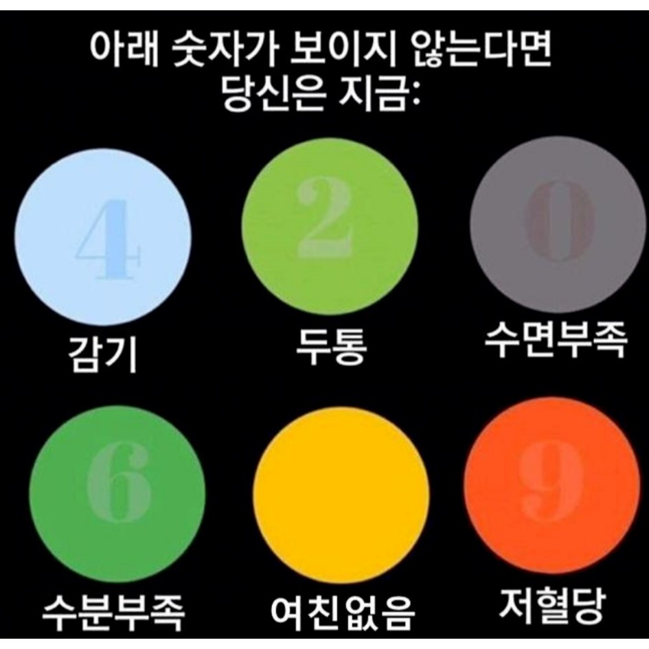 건강 관련 짤털이