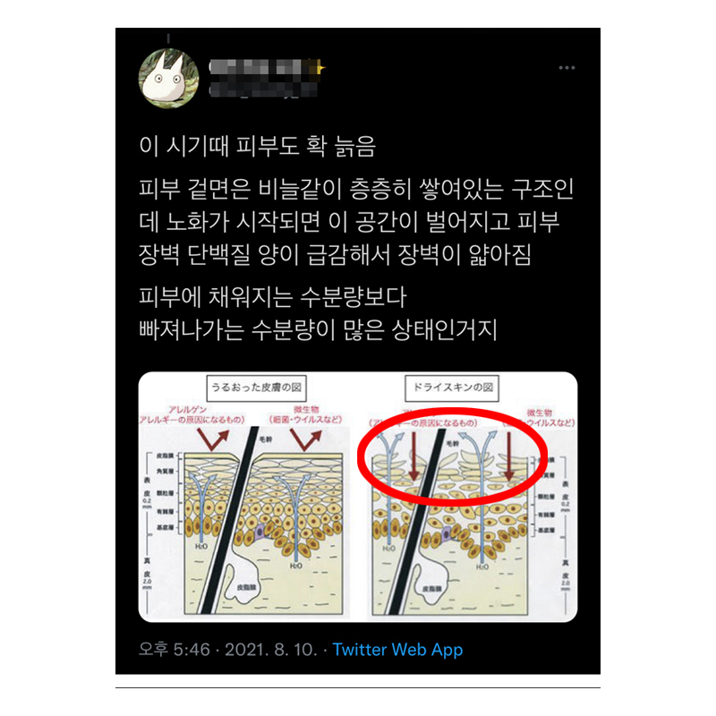 30대 관리의 중요성.jpg