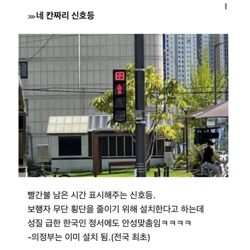드디어 한국에 들어온다는 것들.jpg