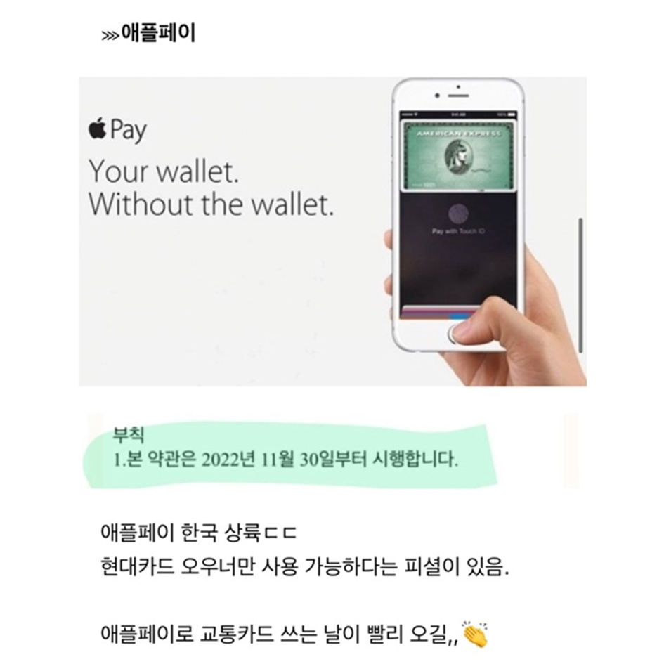 드디어 한국에 들어온다는 것들.jpg