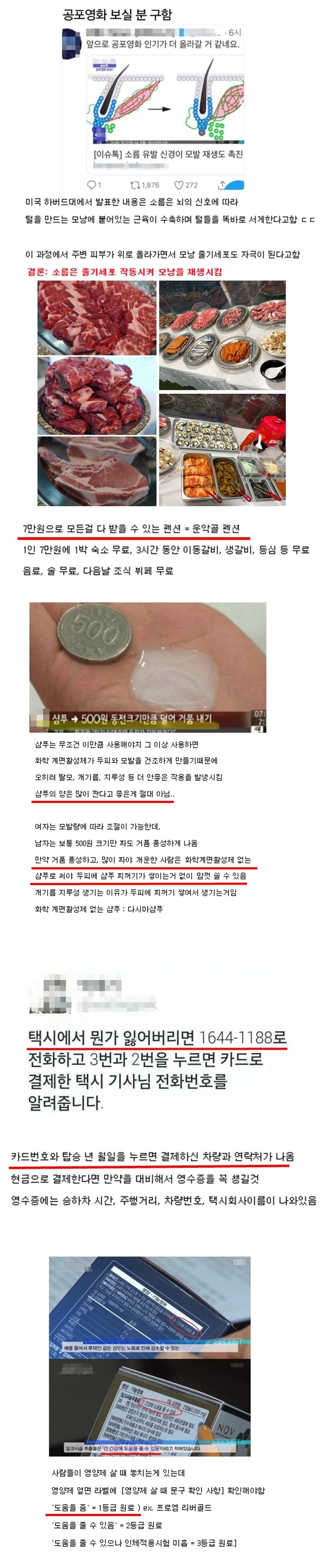 아마 여기 90%는 모르는 사실