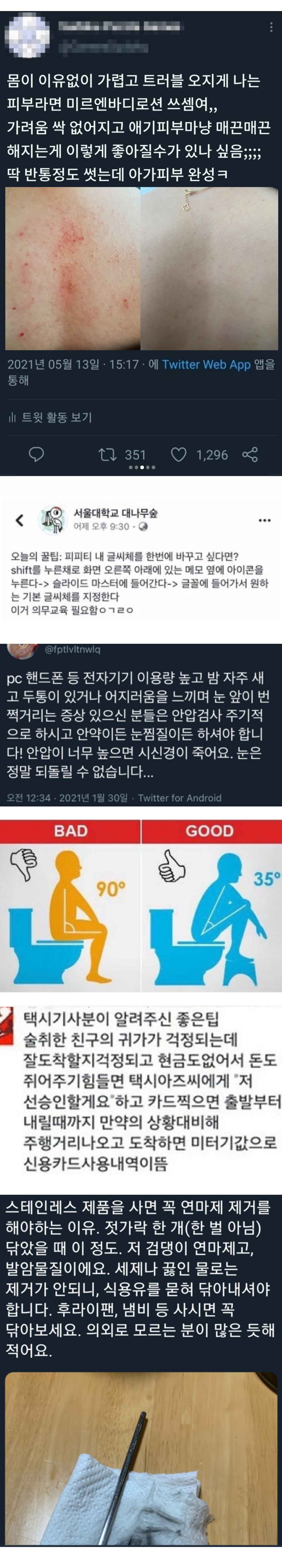 일상에 이로운 도움을 주는 개이덕 정보