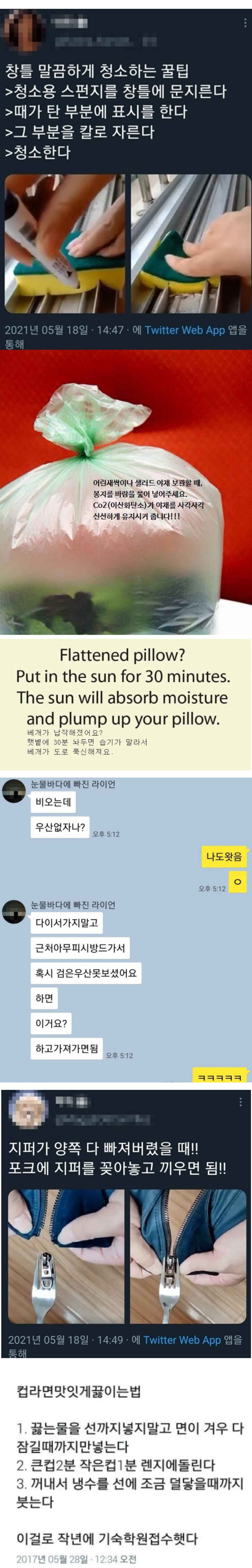 일상에 이로운 도움을 주는 개이덕 정보
