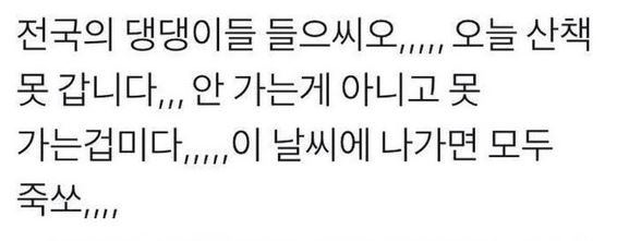 여름에 조심해야 것