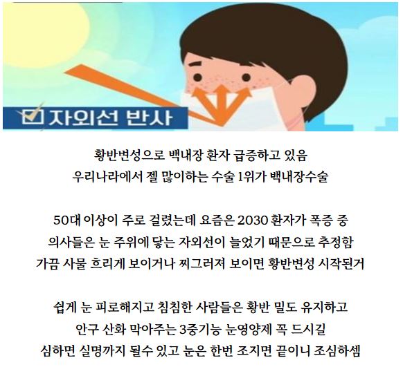 여름에 조심해야 것