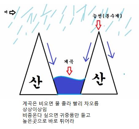 여름에 조심해야 것