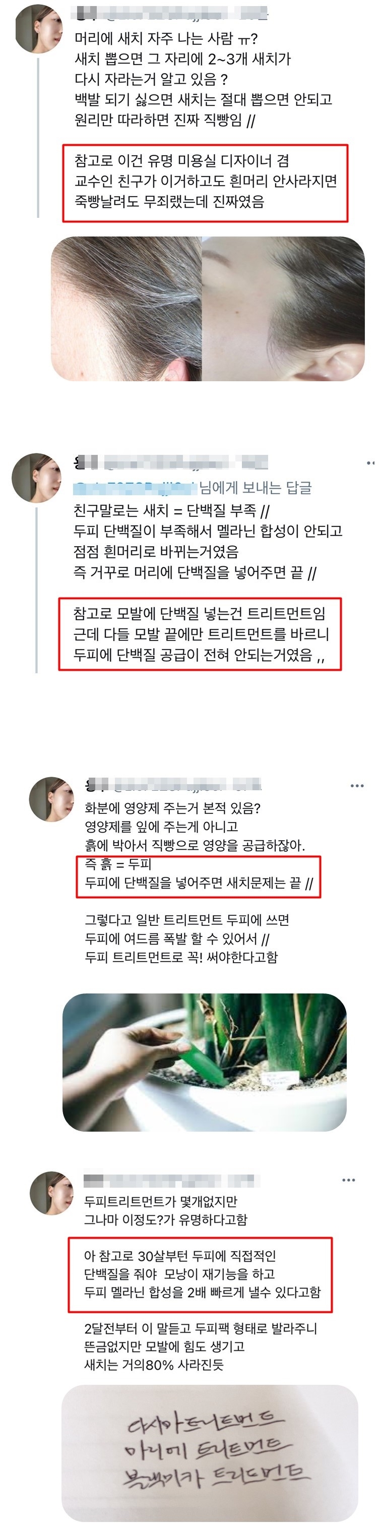 새치나는 사람 알아두면 좋은거