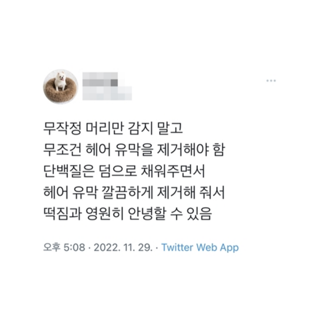 미용실에서 머리 감으면 떡 안지는 이유