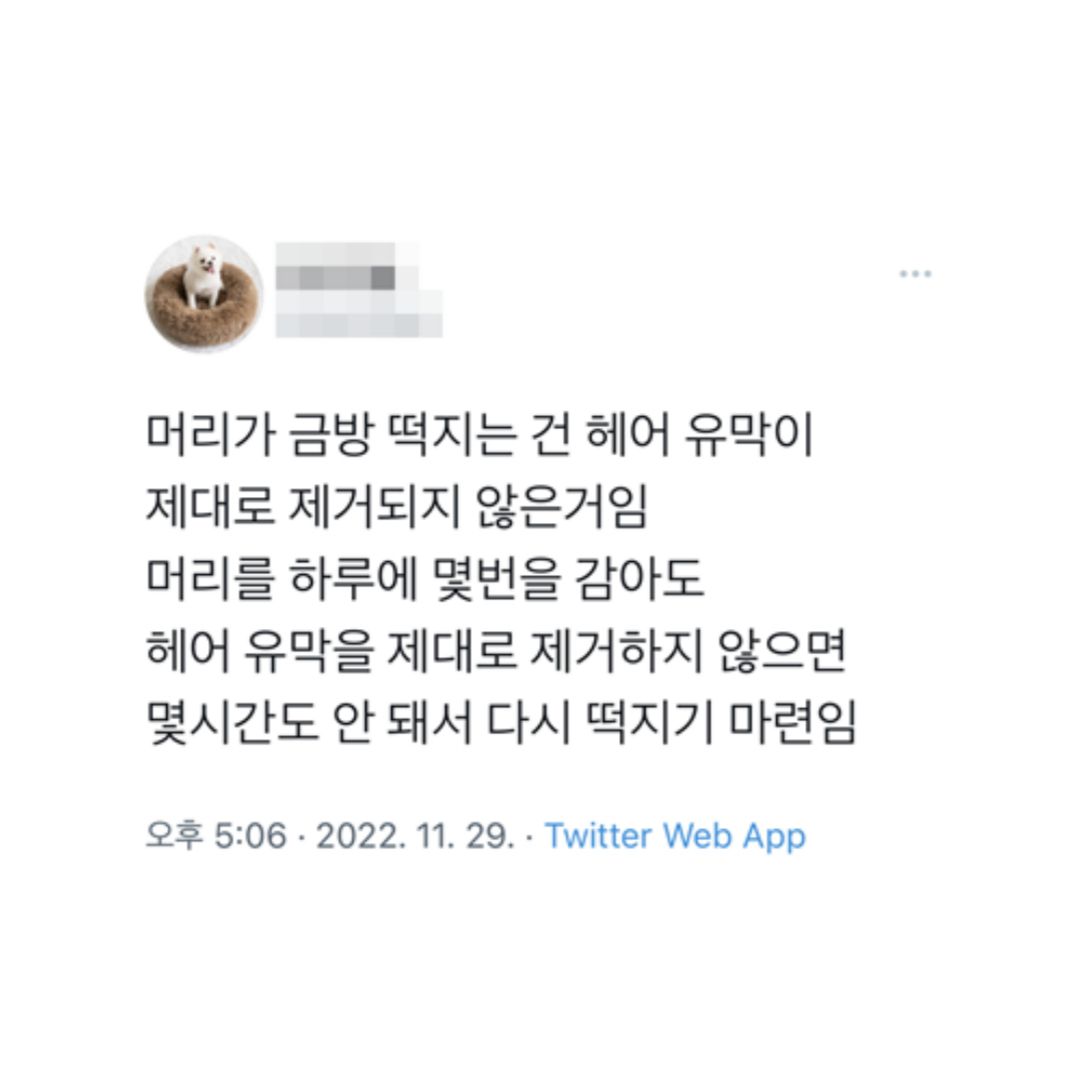 미용실에서 머리 감으면 떡 안지는 이유
