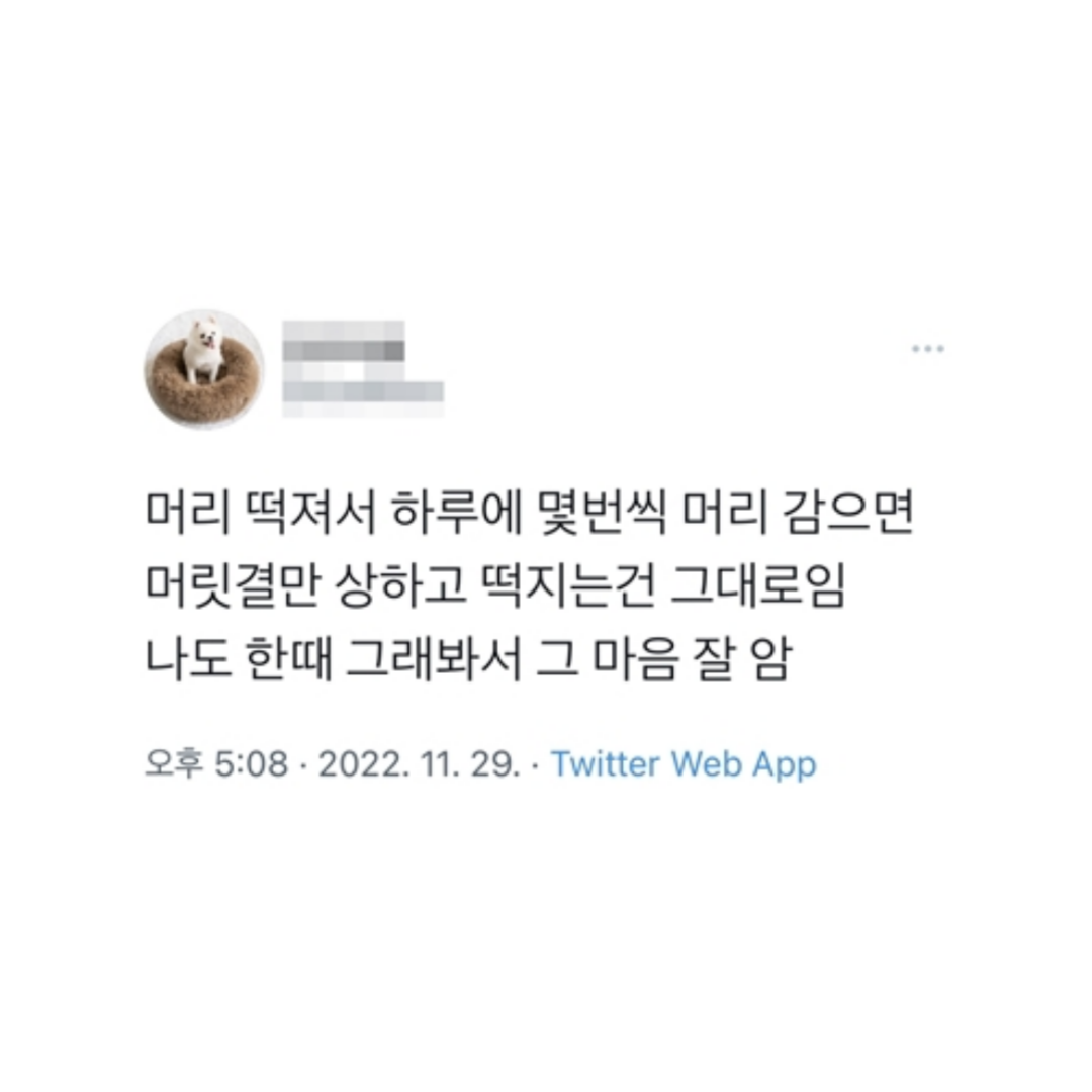 미용실에서 머리 감으면 떡 안지는 이유