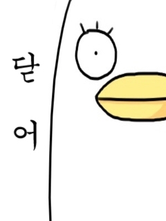 12월 18일