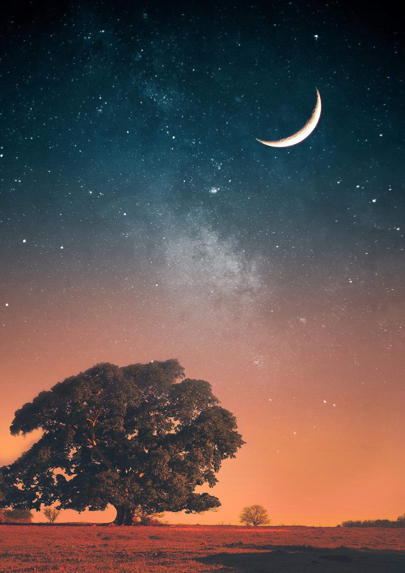 메