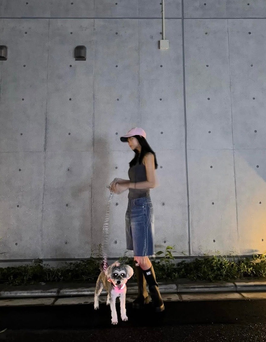 일본 모델 momoe 일상복 코디