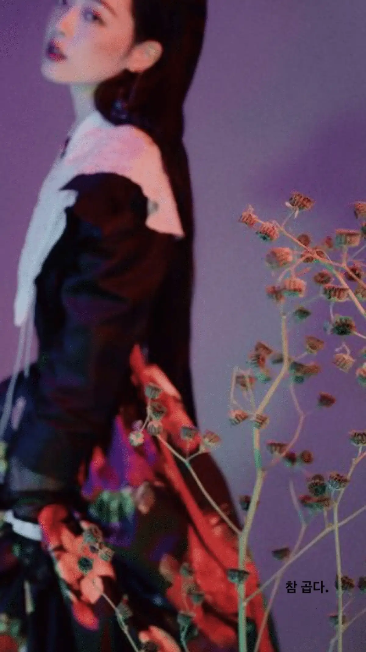 선미 인스타 스토리