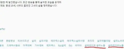 설리 사망소식에 설리노출 태그한 ㅈㅅ일보