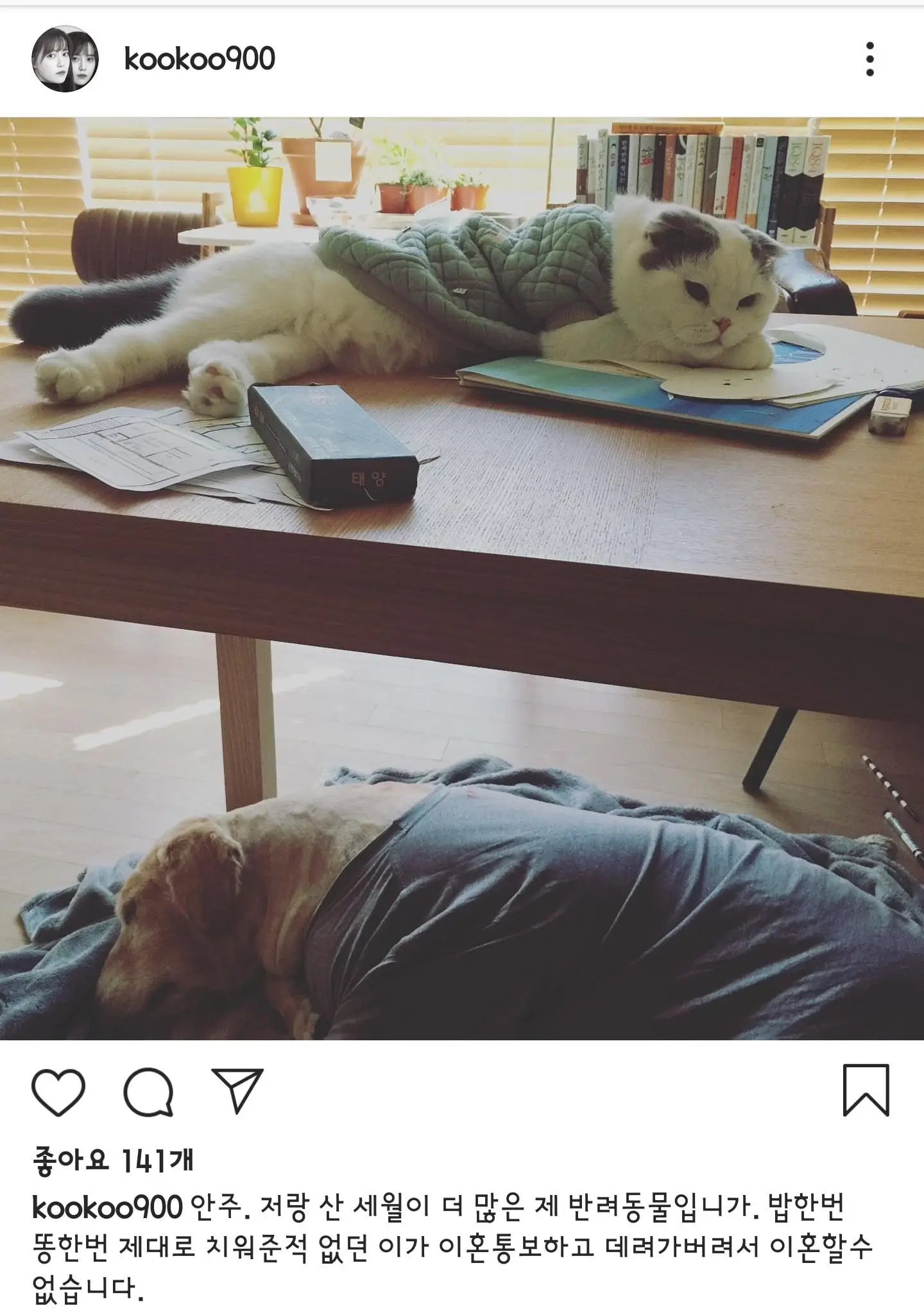 구혜선 인스타 업뎃