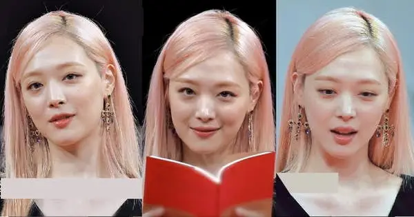 연예인 설리 숨진 채 발견…경찰