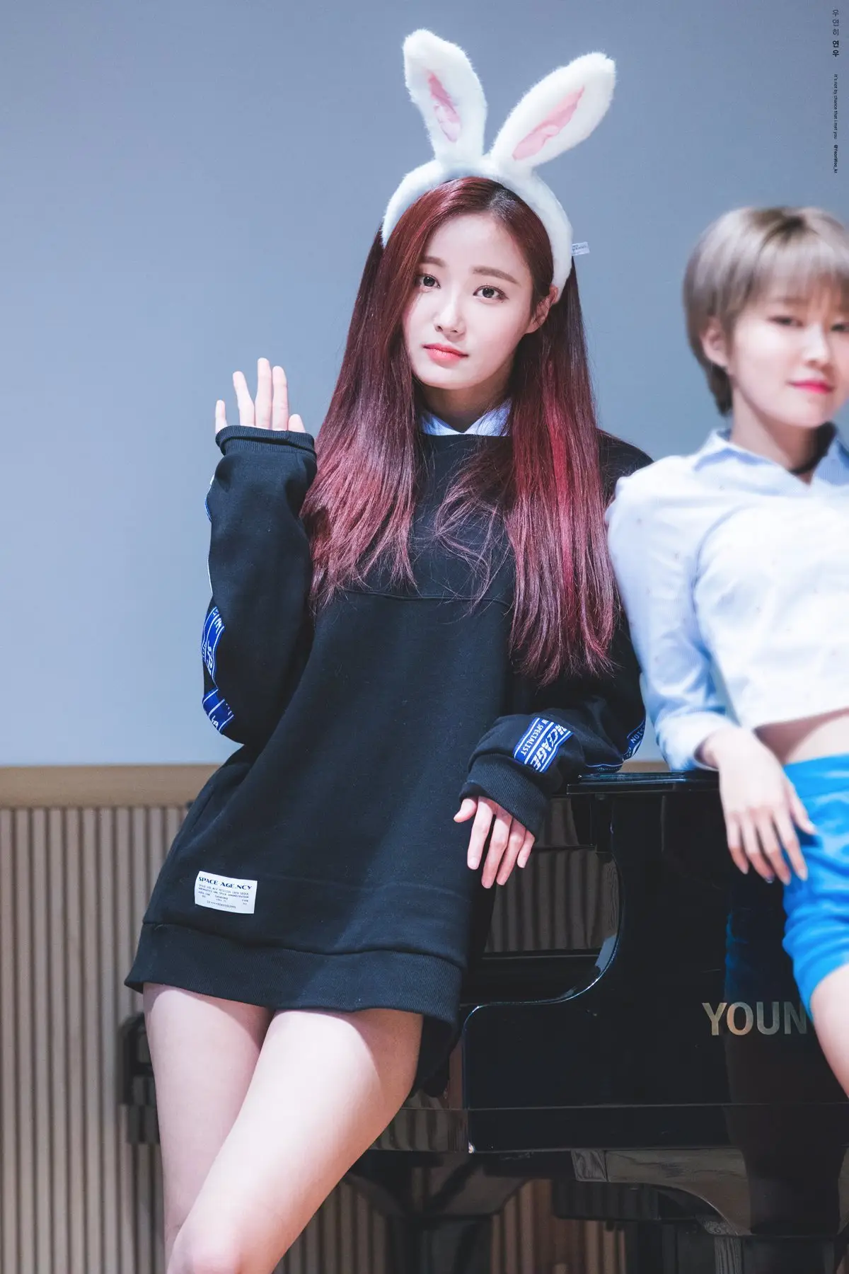 하의 실종 모모랜드 연우