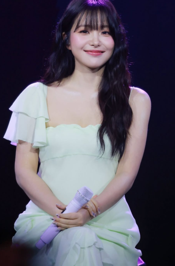 레드벨벳 예리 팬미팅 패션