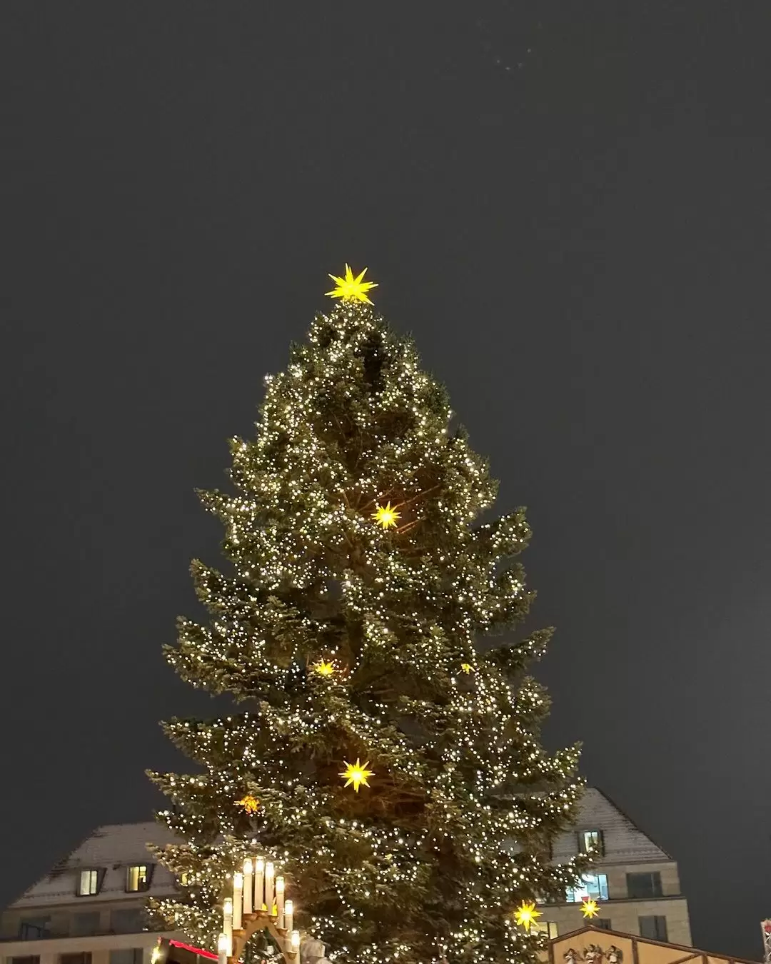 수지 인스타 사진 업뎃🎄🧤🧦🧣