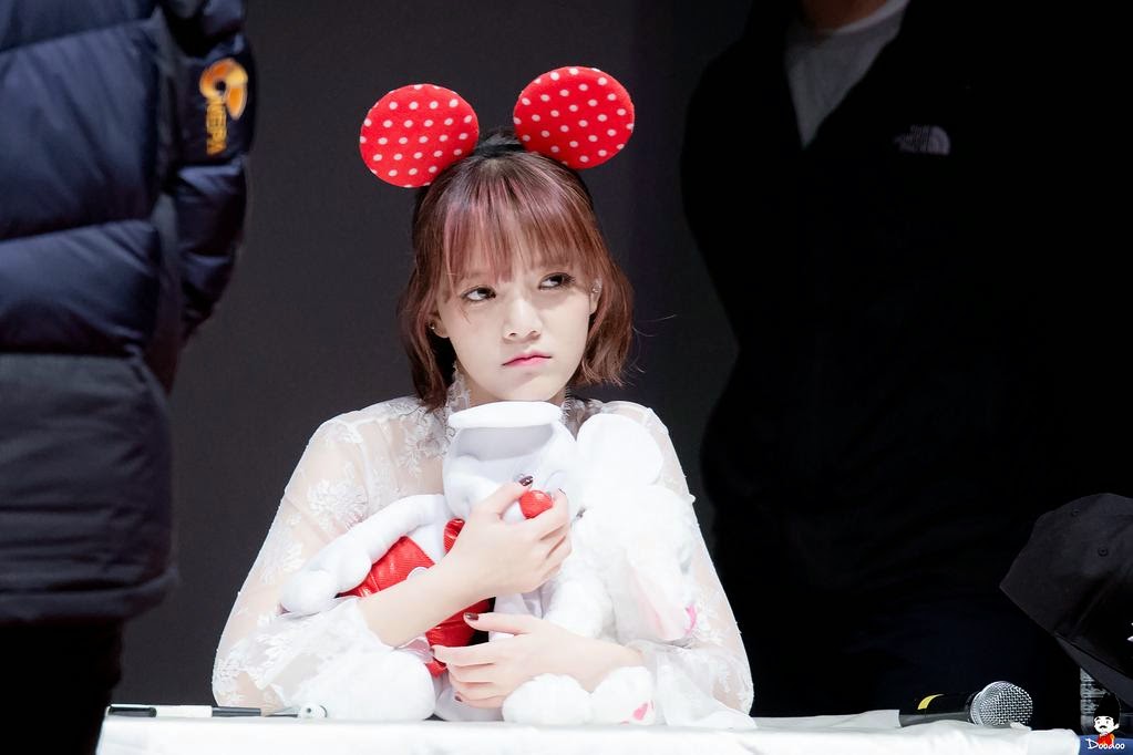 141121 AOA 신촌 팬사인회 직찍 by @DooDoo