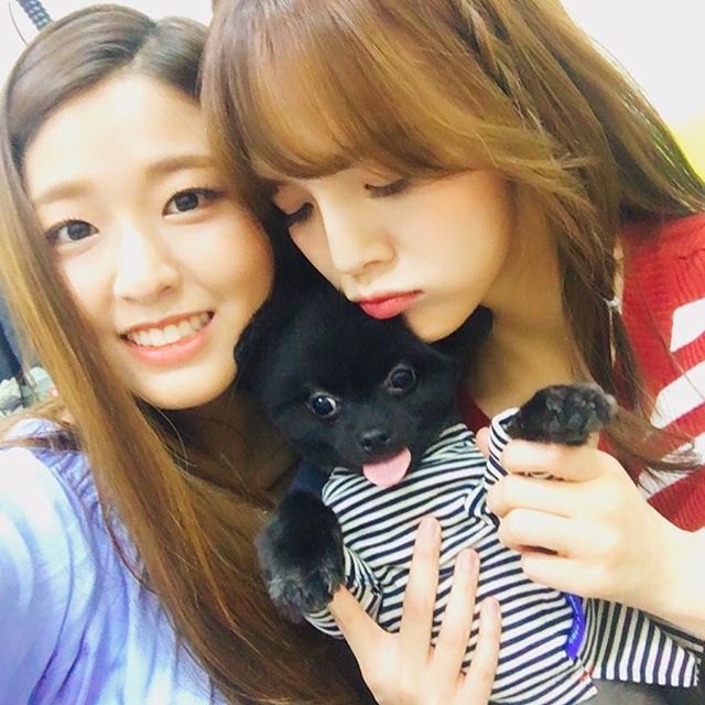 설현(AOA) 160505 인스타그램.jpg