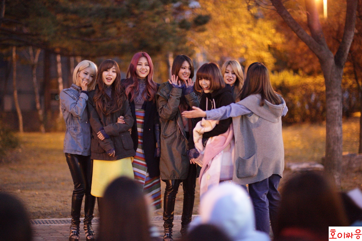 131110 AOA 인기가요 근린공원 팬미팅 직찍