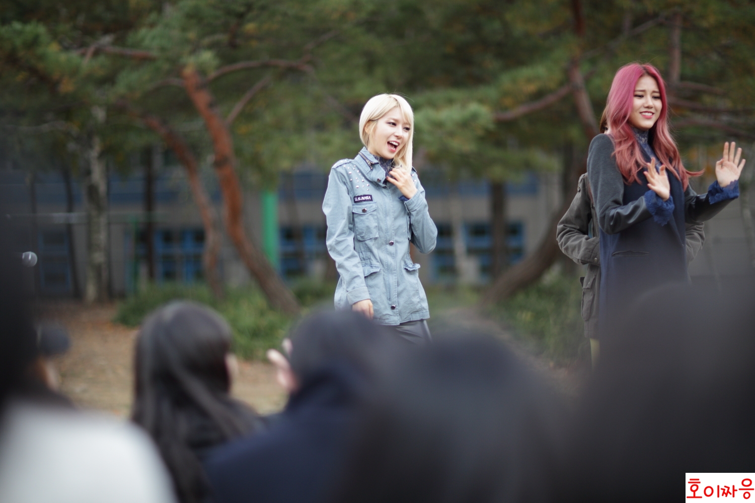 131110 AOA 인기가요 근린공원 팬미팅 직찍