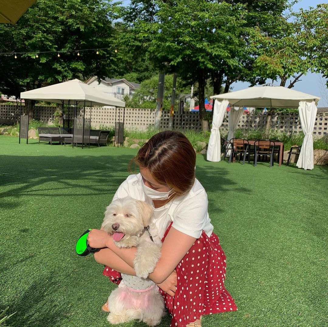 윤보미 인스타 업뎃