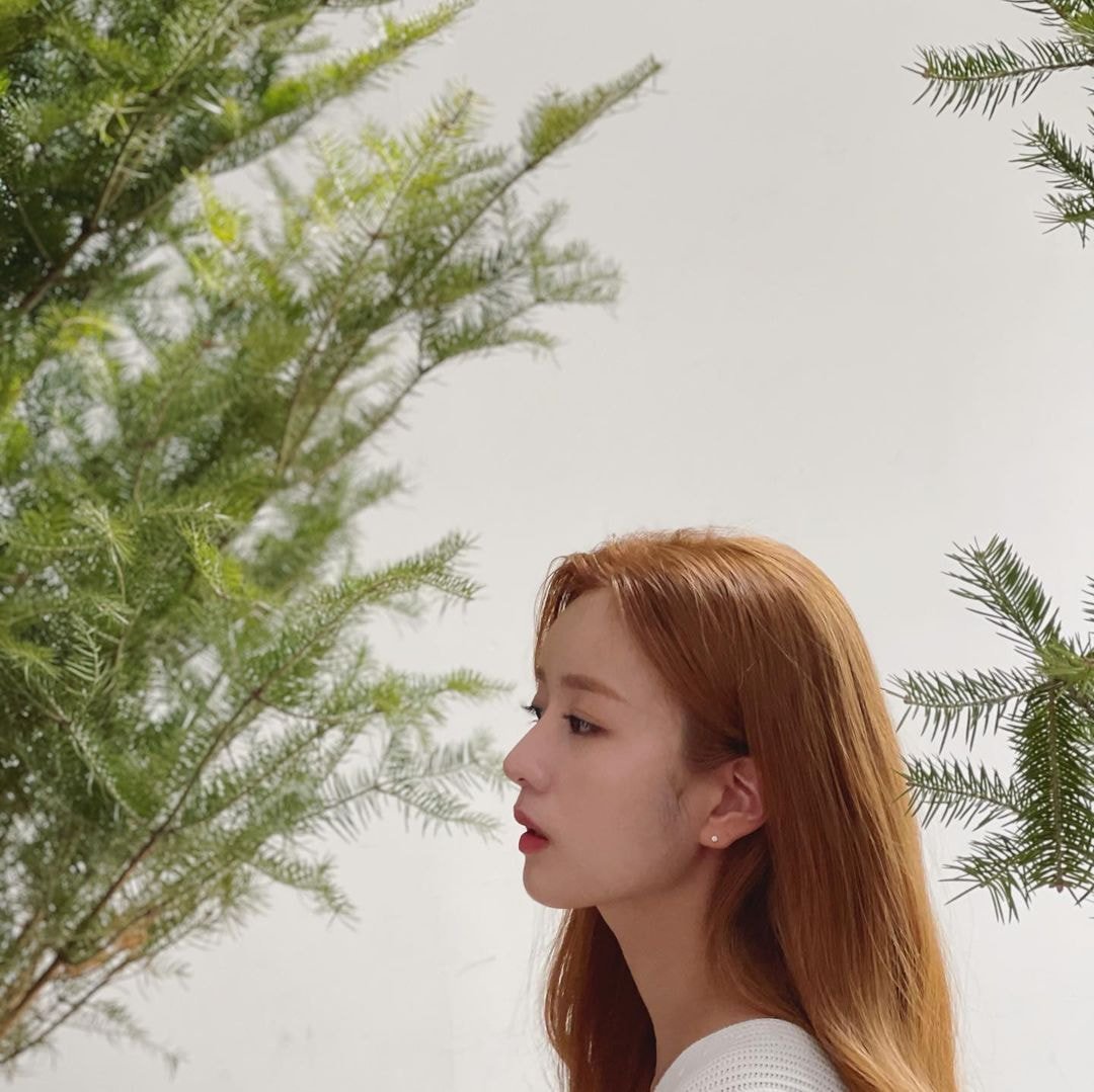 윤보미 인스타 업뎃