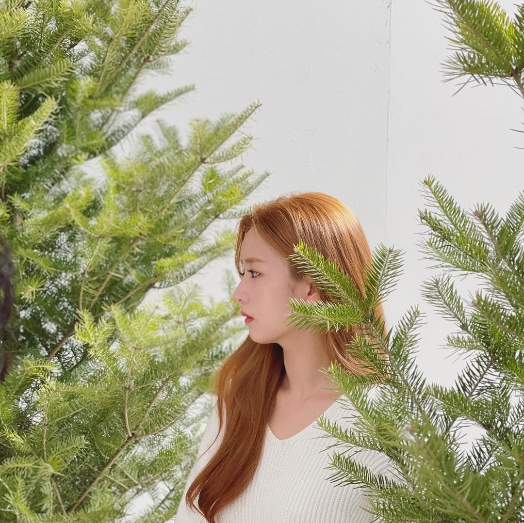 윤보미 인스타 업뎃