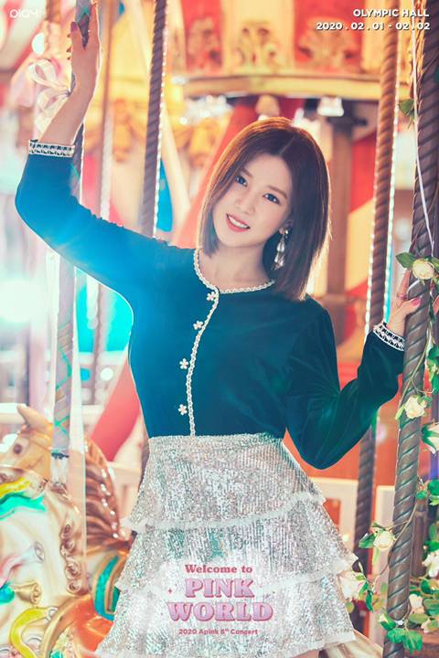 #에이핑크 #초롱 #보미 콘서트 개인 포스터