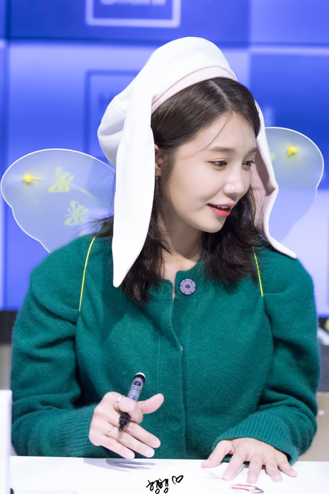 요정 날개를 착용한 에이핑크 정은지.jpg