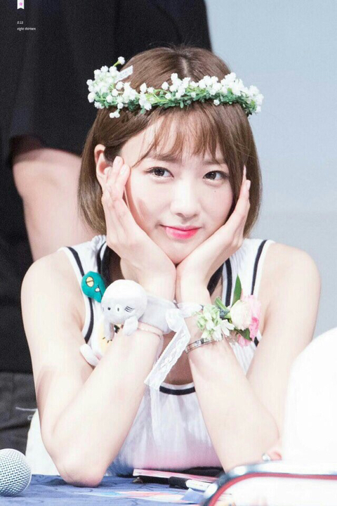 에이핑크 뽀미 단발 시절.jpg