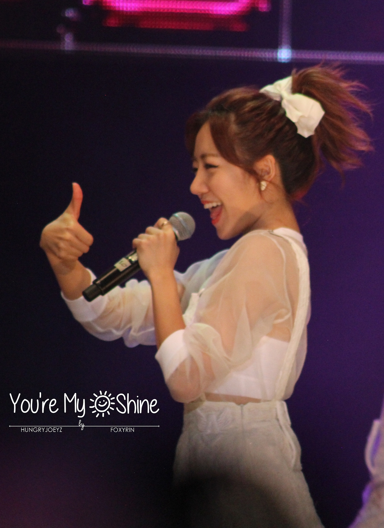 140808 에이핑크 화이트콘서트 직찍