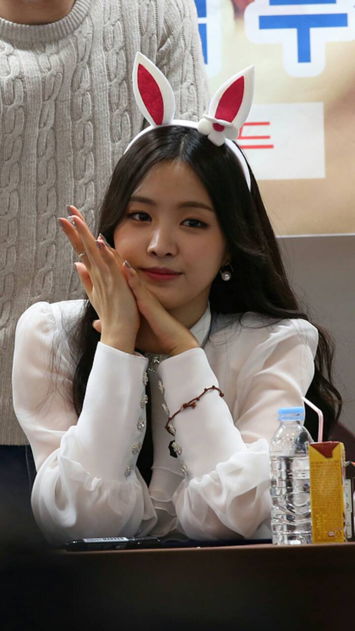 (스압) 141211 에이핑크 부산 팬사인회 @ 신나라 공식사진
