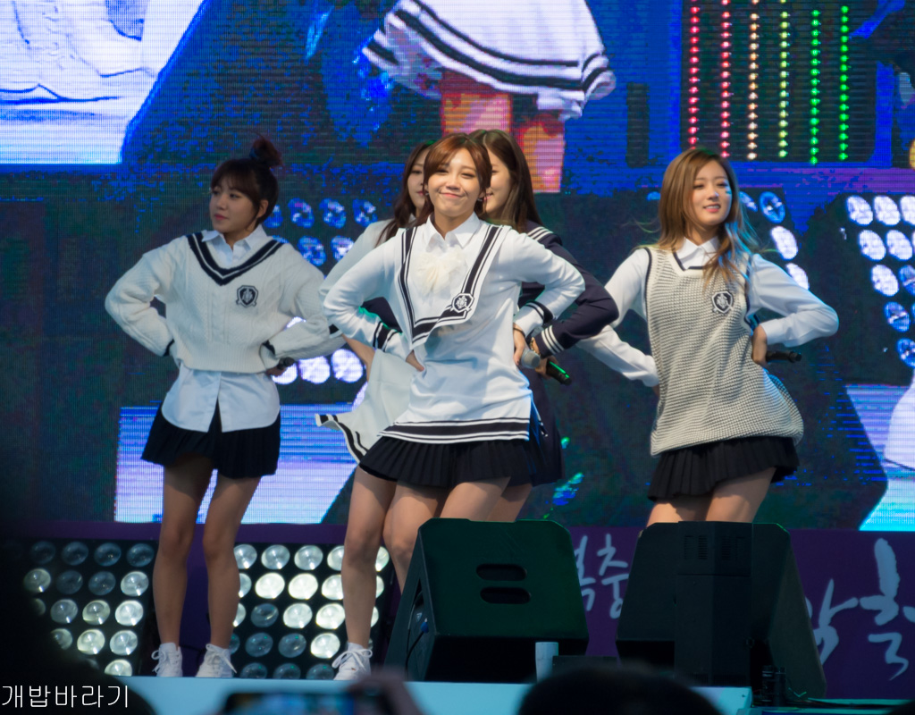 에이핑크(Apink) 직찍 - 141109 기아 소하리 행복충전 음악축제