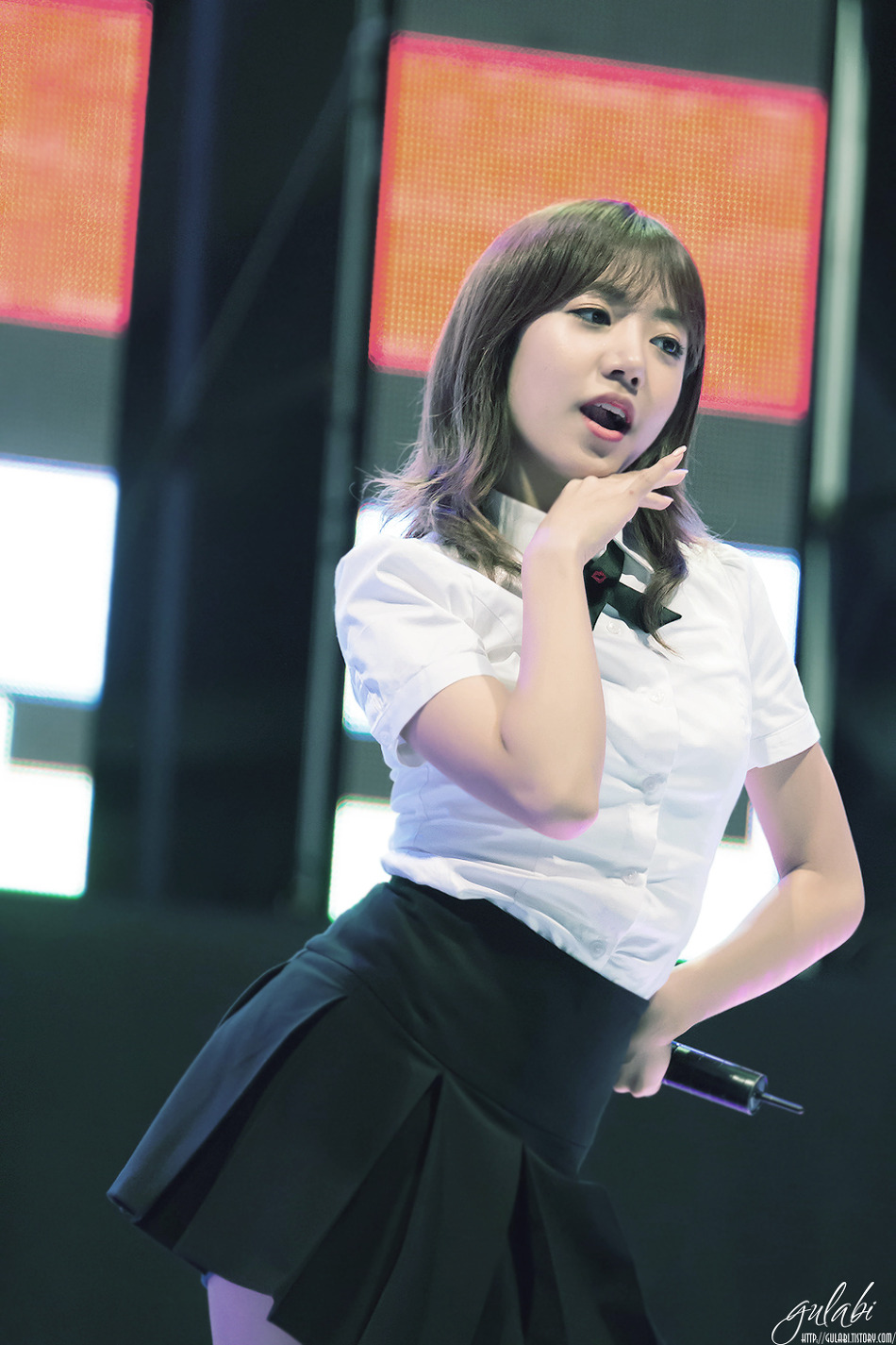 에이핑크(Apink) - 140903 남서울대 축제 by gulabi