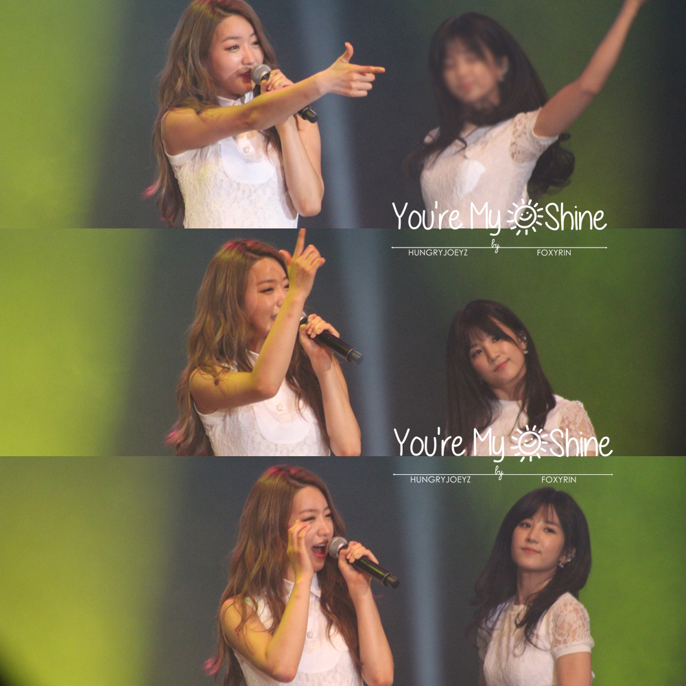 140808 에이핑크 화이트콘서트 직찍