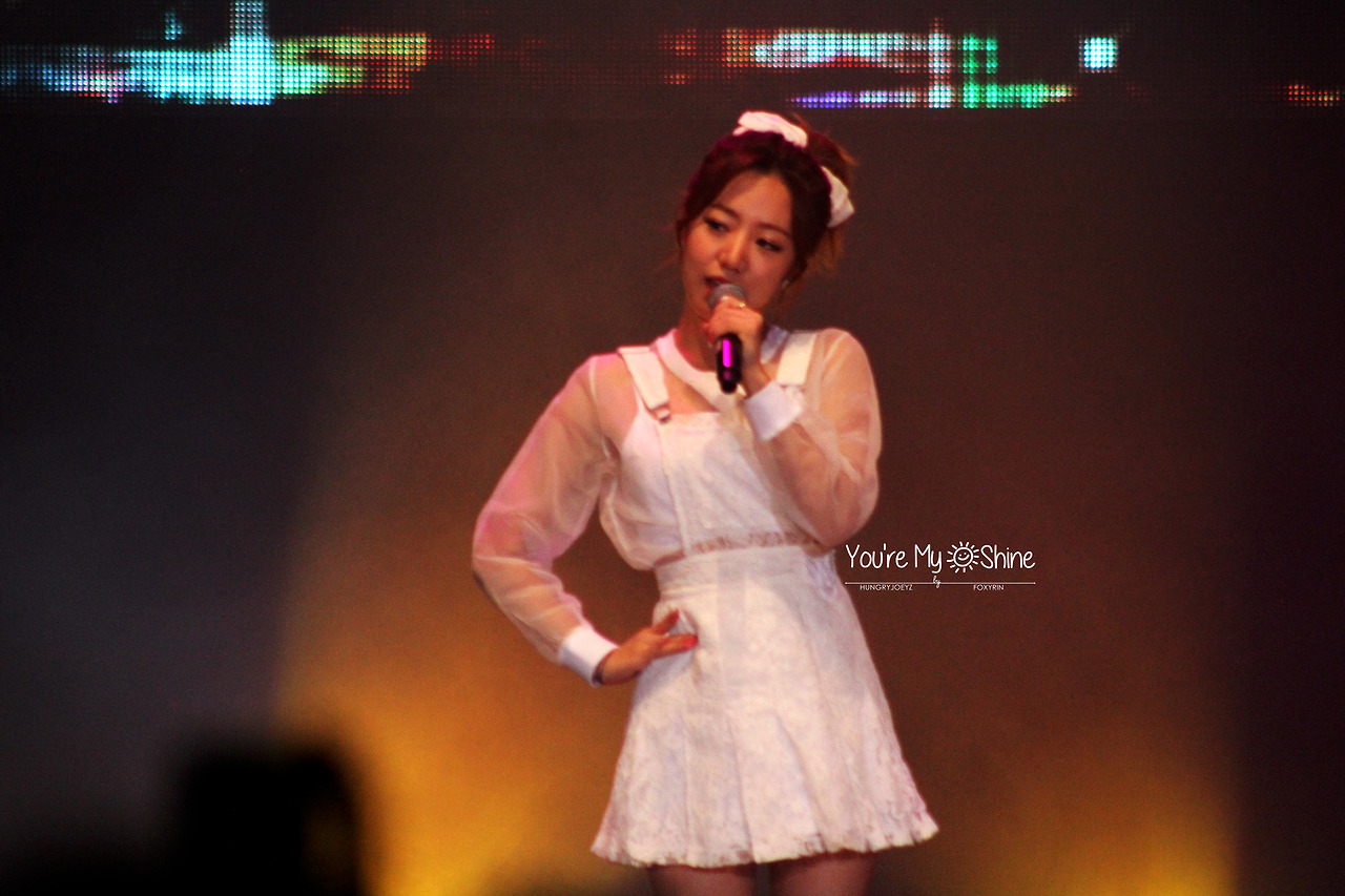140808 에이핑크 화이트콘서트 직찍