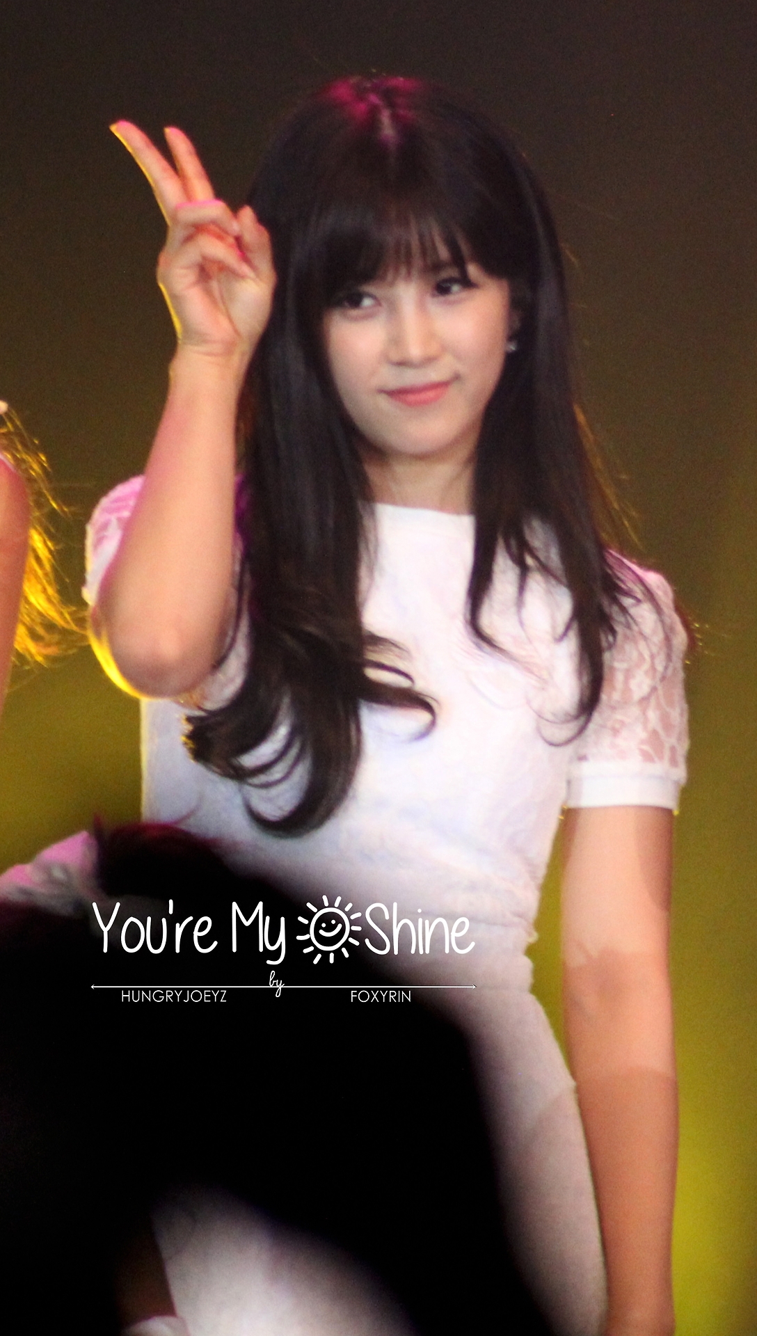140808 에이핑크 화이트콘서트 직찍