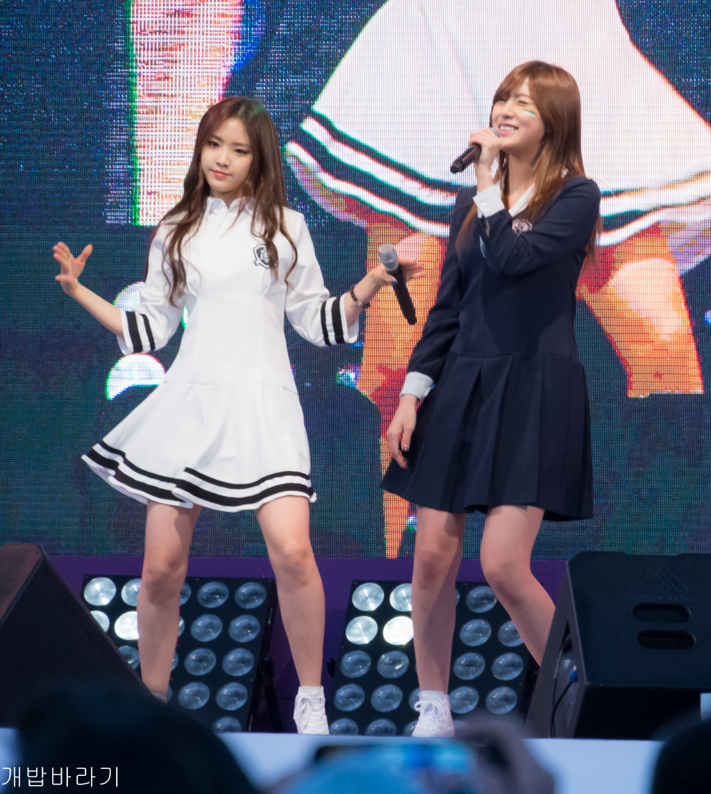 에이핑크(Apink) 직찍 - 141109 기아 소하리 행복충전 음악축제