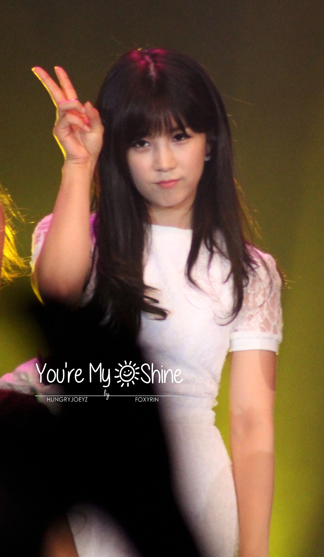 140808 에이핑크 화이트콘서트 직찍