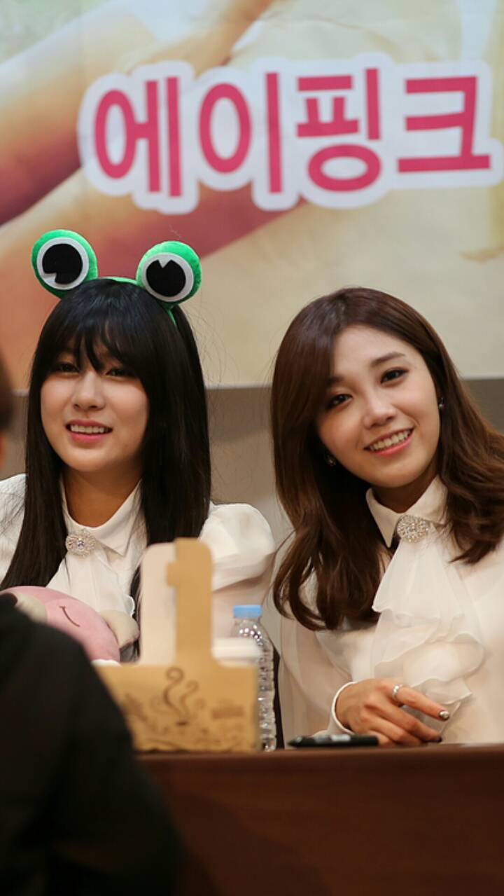 (스압) 141211 에이핑크 부산 팬사인회 @ 신나라 공식사진