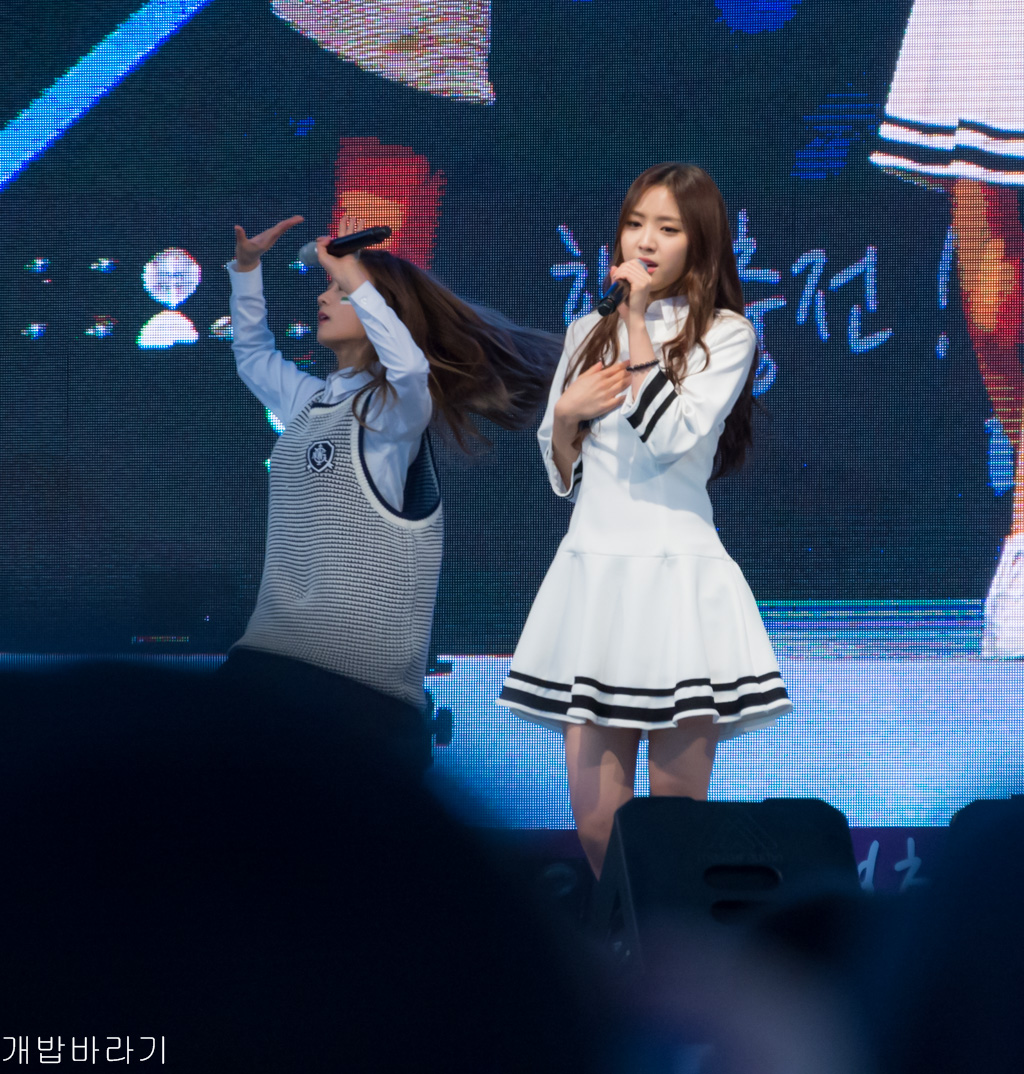 에이핑크(Apink) 직찍 - 141109 기아 소하리 행복충전 음악축제