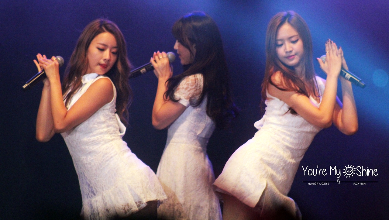 140808 에이핑크 화이트콘서트 직찍