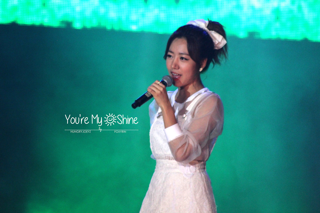 140808 에이핑크 화이트콘서트 직찍
