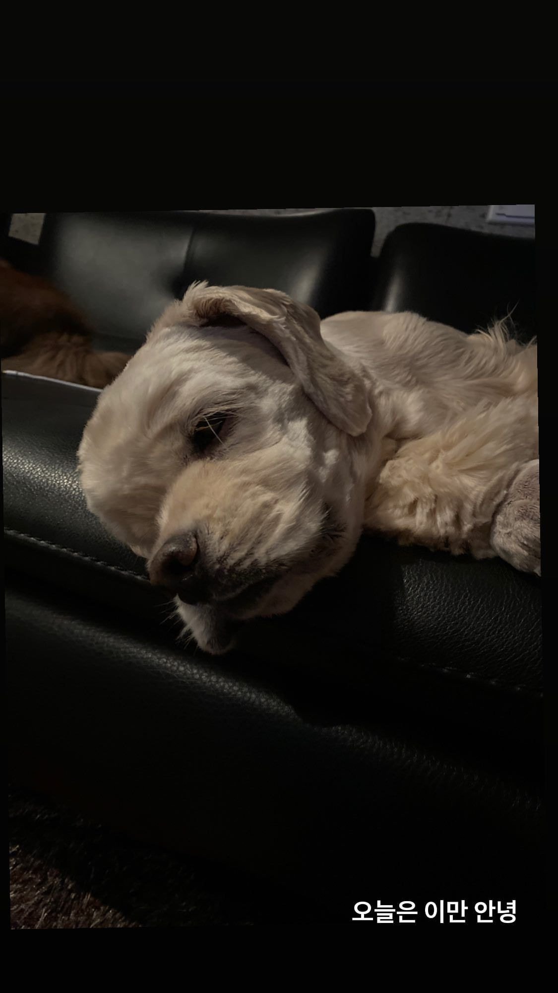 블랙핑크 제니.insta+story