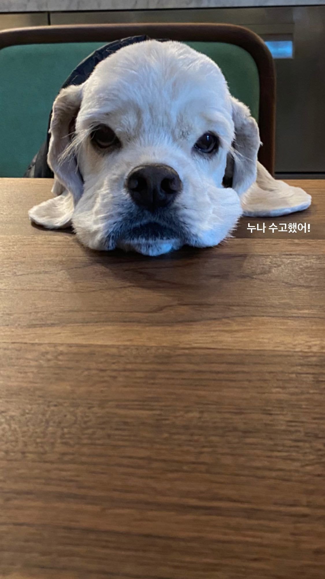 오늘 인스타 폭풍 업로드한 블랙핑크 제니